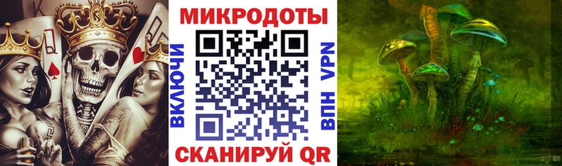 Купить закладки  Олёкминск  Галлюциногенные грибы Magic Shrooms 